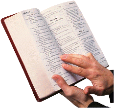 bibel
