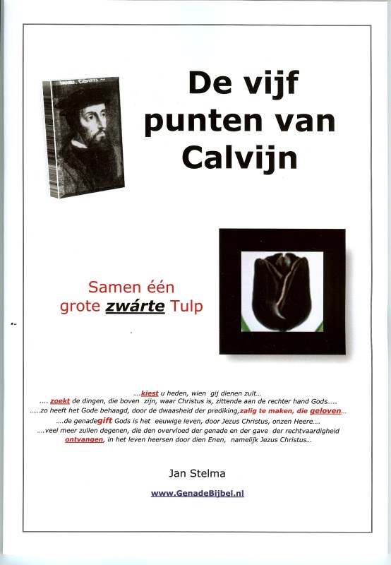 De 5 punten van Calvijn