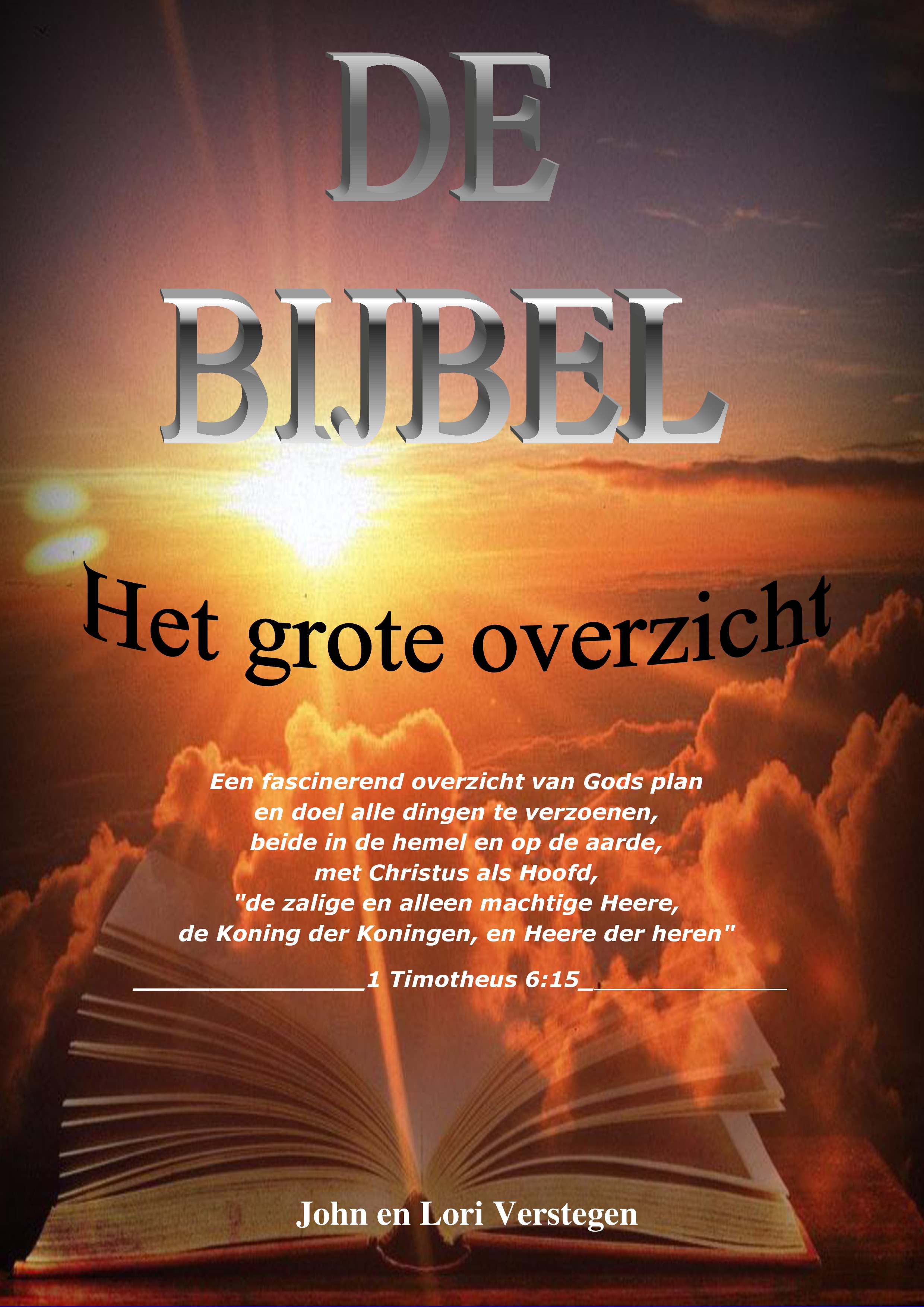 Het grote overzicht. Voorkant